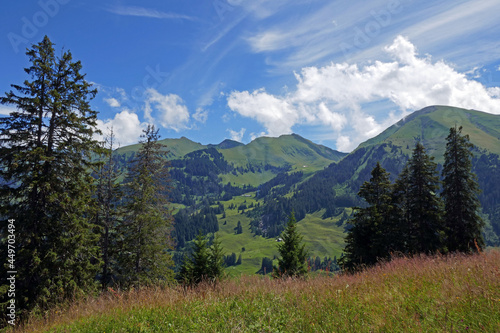 Diemtigtaltal  Wiriehorn  Alpen  Berner Oberland  Schweiz 
