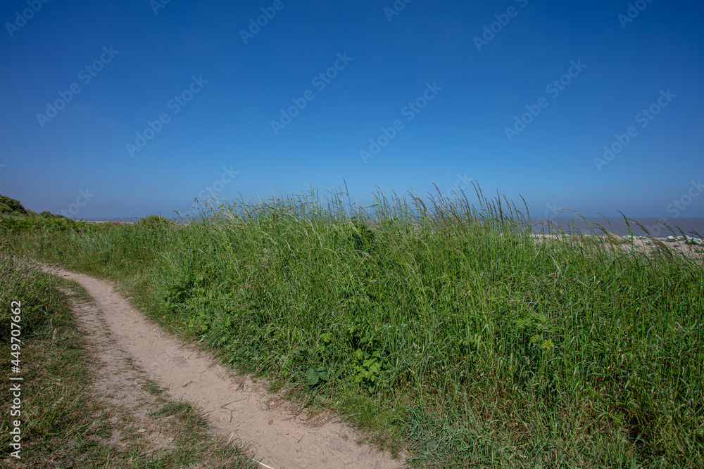 A Coastal Path at Thorpeness Suffolk