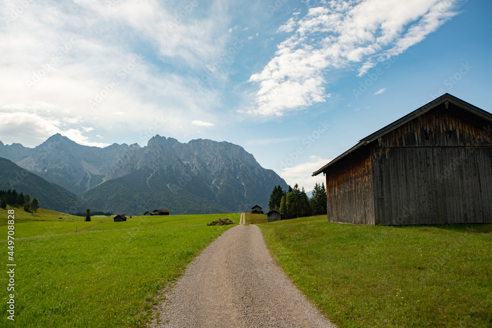 Obraz premium Buckelwiesen