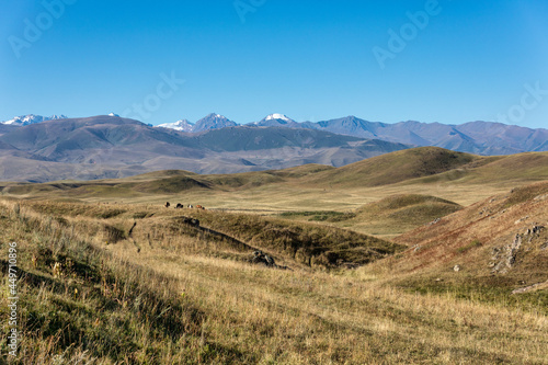 landscape in the mountains of the mountains © Александр Ульман
