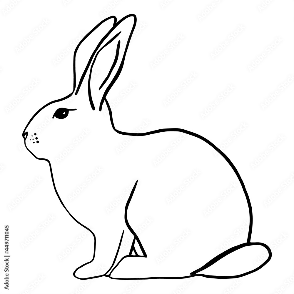 Obraz premium easter bunny. animal. Hare. cute. coloring. vector eps 10