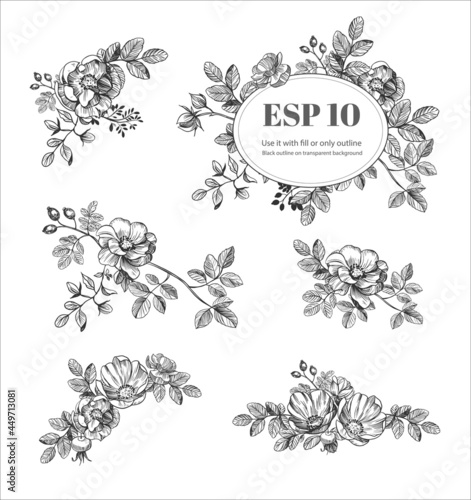 Floral hand drawn elements. Flowers set. rose hip vector illustration. Black outline