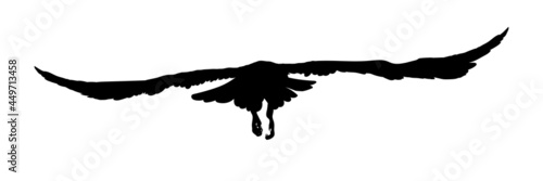 Stampa su Tela Black silhouette birds isolated on white background