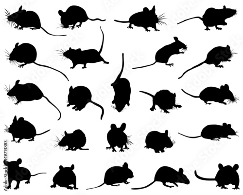 Black silhouettes of mouses on a white background