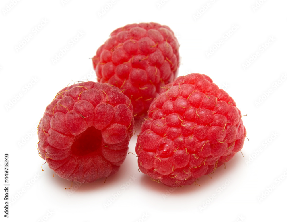 red raspberry berry red raspberry berry