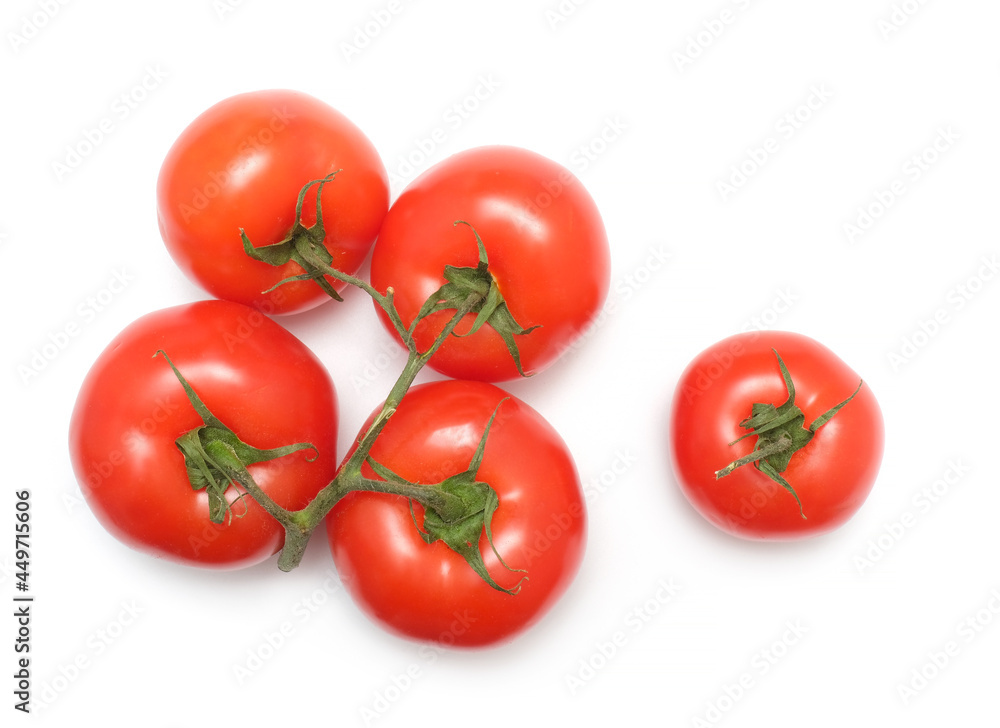 red tomato vegetable on green branch red tomato vegetable on green branch