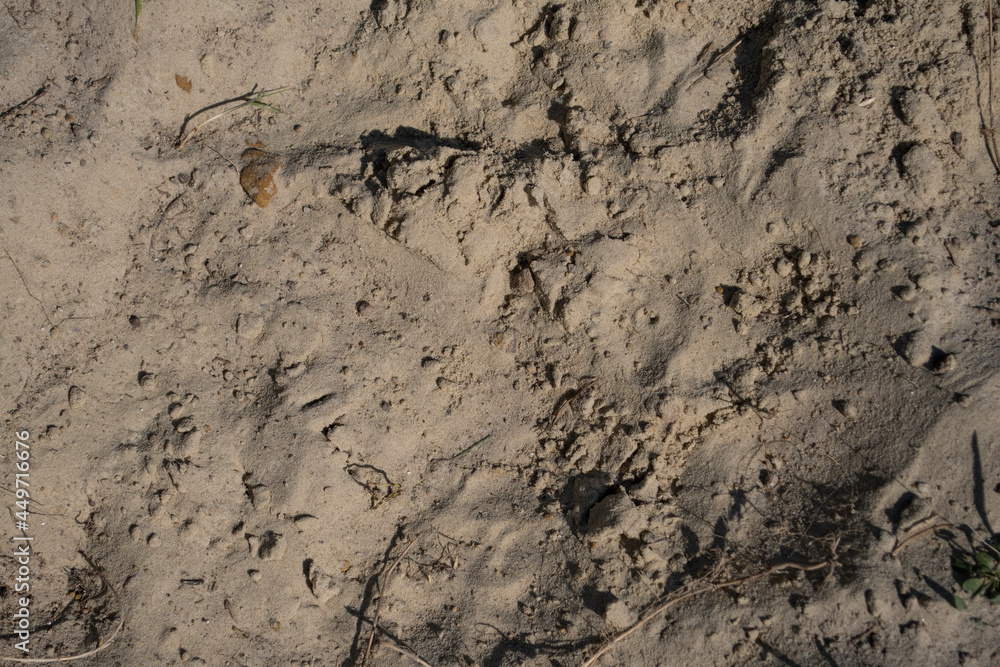 structured sand wallpaper structured sand wallpaper