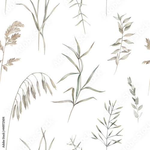 Fototapeta Naklejka Na Ścianę i Meble -  Watercolor  summer field herbs seamless pattern. Botanical nature print on white background
