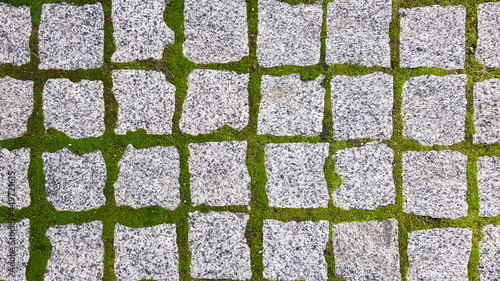 The texture of the paved tile of the street. Concrete paving slabs. Paving slabs. Grass between the slabs. Texture of paving slabs overgrown with grass. Background image of a stratum stone