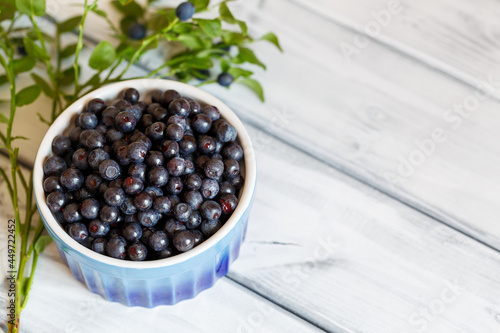 Blueberries in a cup on the background of a blurred green branch with berries. A place to copy. Selective focus