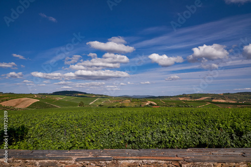 Vineyard View - Douro River Valley - Port Wine Region with Farms Terraces Carved in Mountains - Favaios Portugal