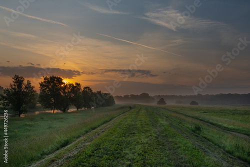 Fototapeta Naklejka Na Ścianę i Meble -  Fog and river Dyje with orange sunrise near Bulhary village in south Moravia