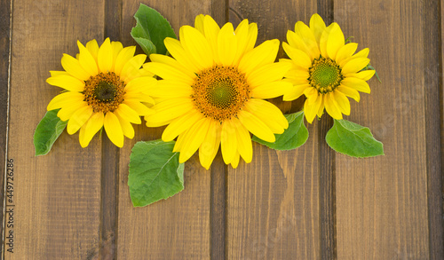 Fototapeta Naklejka Na Ścianę i Meble -  Bright sunflower flowers on wooden background