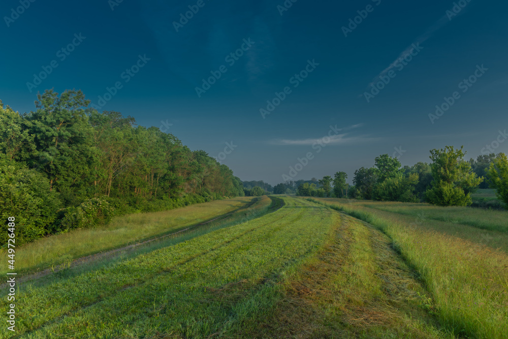 Obraz premium Fog and river Dyje with orange sunrise near Bulhary village in south Moravia