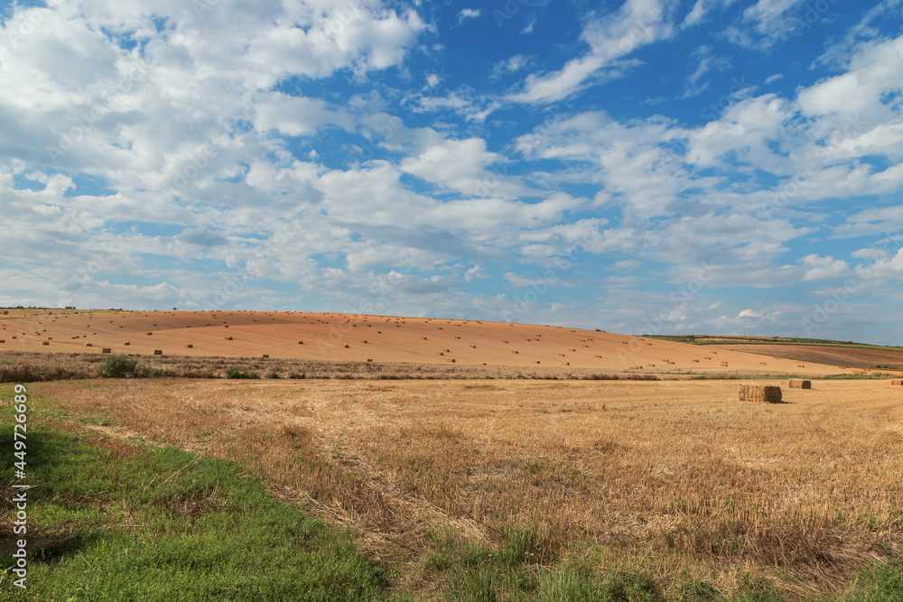Obraz premium Beautiful landscape near Strazovice in the Czech Republic. Harvested grain in the field. Blue sky and clouds.