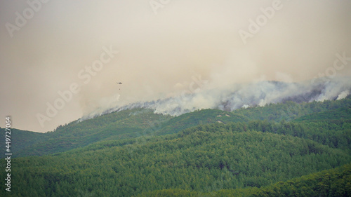 Wildfires in Milas, in Turkey