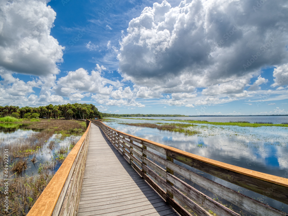 Birdwalk in Myakka River State Park in Sarasota Florida USA with blue sky and big white dramatic clouds