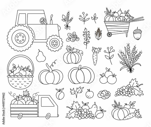 Autumn black and white harvest set. Vector line farm vegetables, fruit and berry collection with pumpkins, carrot, apple, cabbage, corn, pear, grapes. Funny fall outline illustration.
