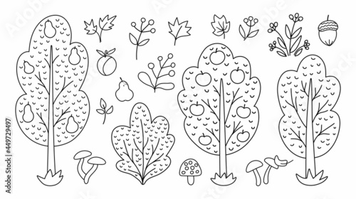 Vector black and white autumn forest or garden fruit trees, plants, shrubs, bushes, mushrooms set. Outline fall apple and pear garden illustration. Natural greenery line icons collection.