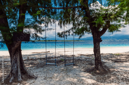 Tropical beach and ocean in tropics and swing with trees
