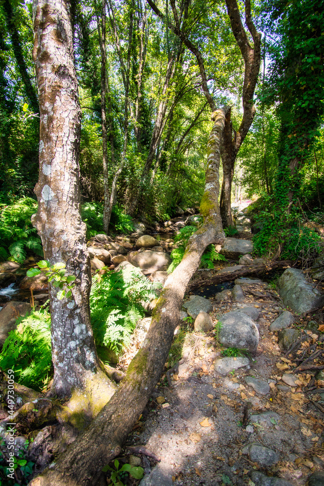 Beautiful Landscape Of Nature Without People With A Small River Or Stream. Charming Place In Forest, Surrounded By Trees, Rocks And A Stream. Garganta La olla, Cáceres, Spain Beautiful Landscape Of Nature Without People With A Small River Or Stream. Charming Place In Forest, Surrounded By Trees, Rocks And A Stream. Garganta La olla, Cáceres, Spain