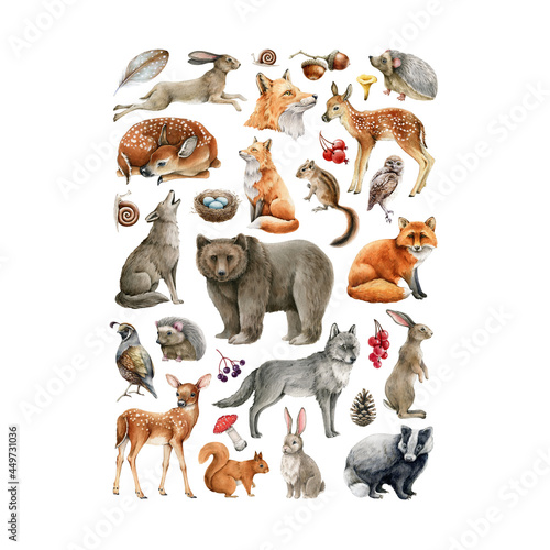 Leinwand Poster Forest animals and birds set