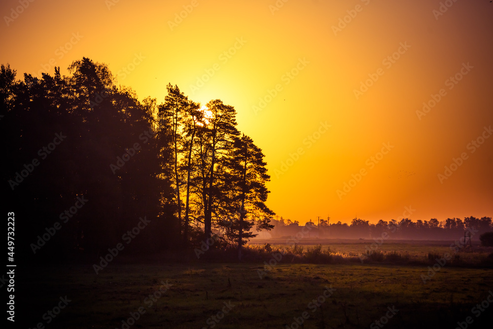 A beautiful evening scenery of a rural landscape. Sunset in the country landscape. Summertime scenery of Northern Europe.