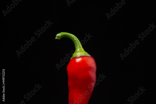 Red hot chili peppers on a black background. Chili pepper isolated