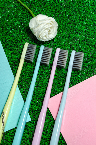clean colorful toothbrushes on green grass
