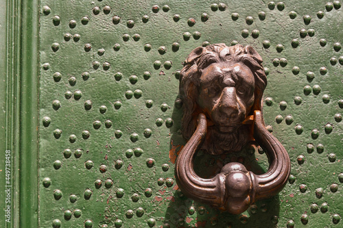 Close-up of a studded green door with a lion head knocker in the historic centre of Genoa, Liguria, Italy