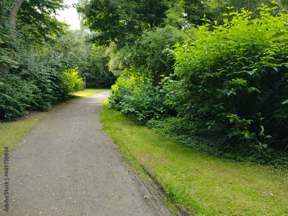 path in the park path in the park