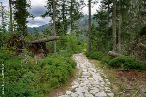 szlak turystyczny w Tatrach
