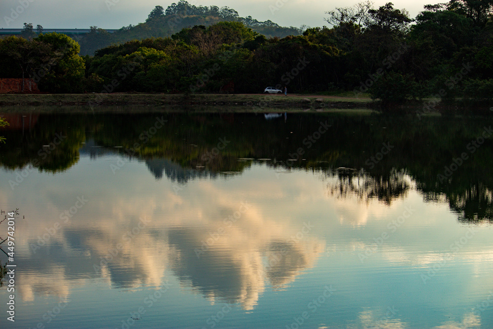Obraz premium reflection of trees in the lake