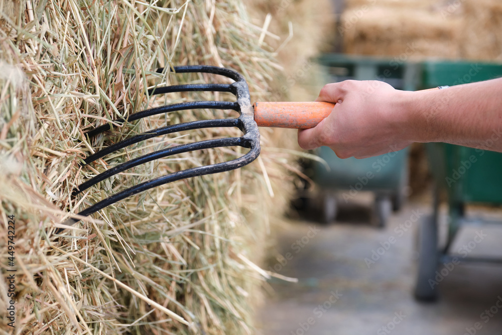 Close up of a farmers hand using a fork to load the wheelbarrow with hay.