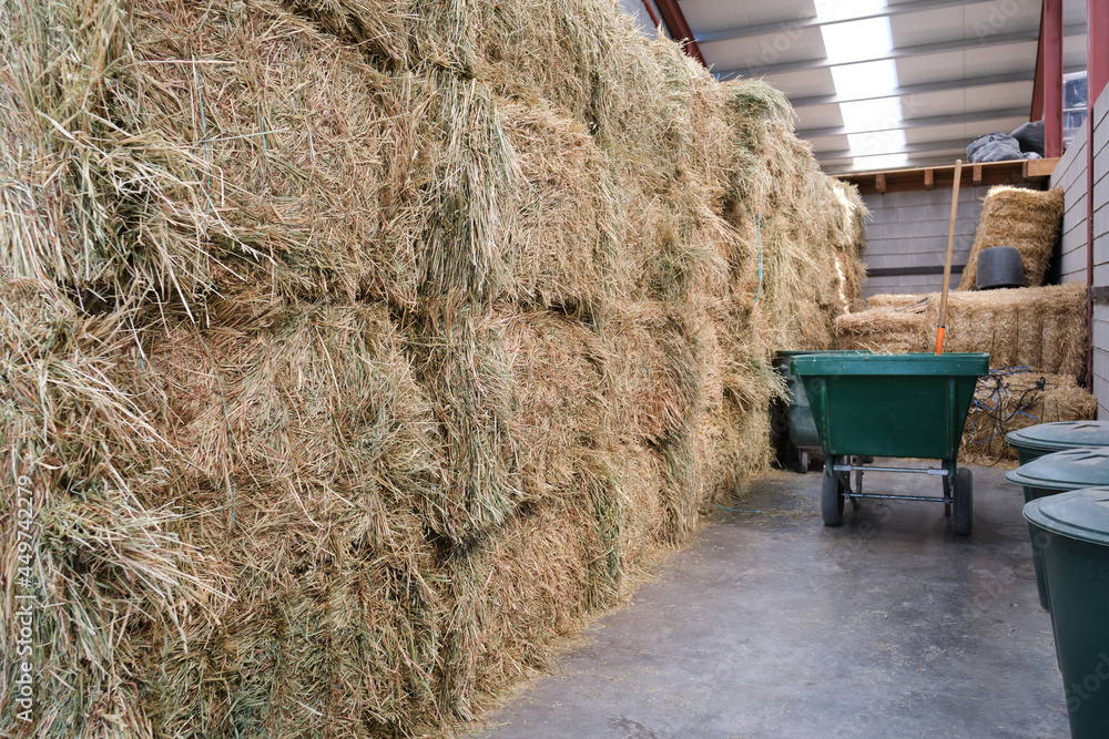 Straw bales stacked in a storeroom. Stock Photo Adobe Stock