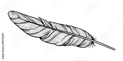 Bird feather sketch. Eagle decorative feather isolated in white background. Hand drawn vector illustration
