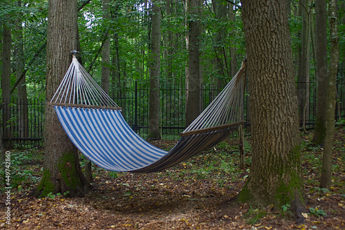  A striped hammock between two thick trees