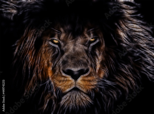 Fototapeta Naklejka Na Ścianę i Meble -  the image of the king of beasts. lion