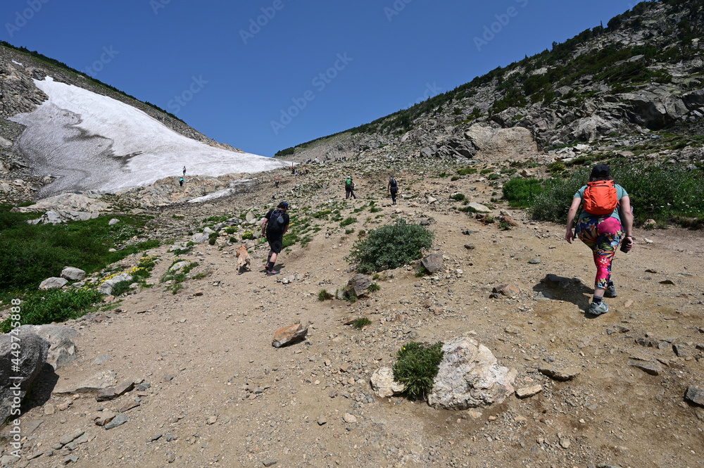Hikers ascend Saint Mary's Glacier Trail in Arapaho National Forest, Colorado on sunny summer morning. Hikers ascend Saint Mary's Glacier Trail in Arapaho National Forest, Colorado on sunny summer morning.