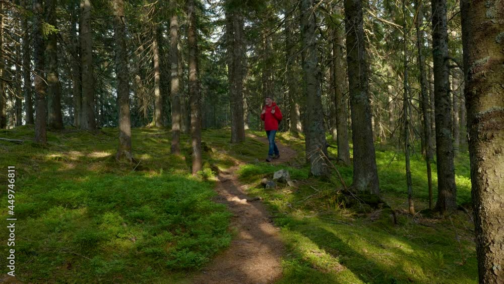 Tourist guy with a backpack walks along a trail in a beautiful forest Tourist guy with a backpack walks along a trail in a beautiful forest