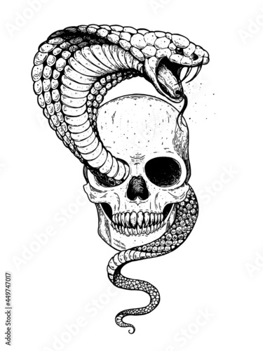 Skull and cobra snake hand drawn illustration. Tattoo vintage print. Skull hand drawn print. Tattoo design.