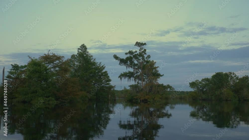 Cypress and gum trees in a Florida lake just after sunset Cypress and gum trees in a Florida lake just after sunset