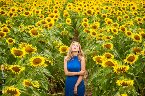 A lovely girl in a blue dress stands against the background of a yellow field with sunflowers