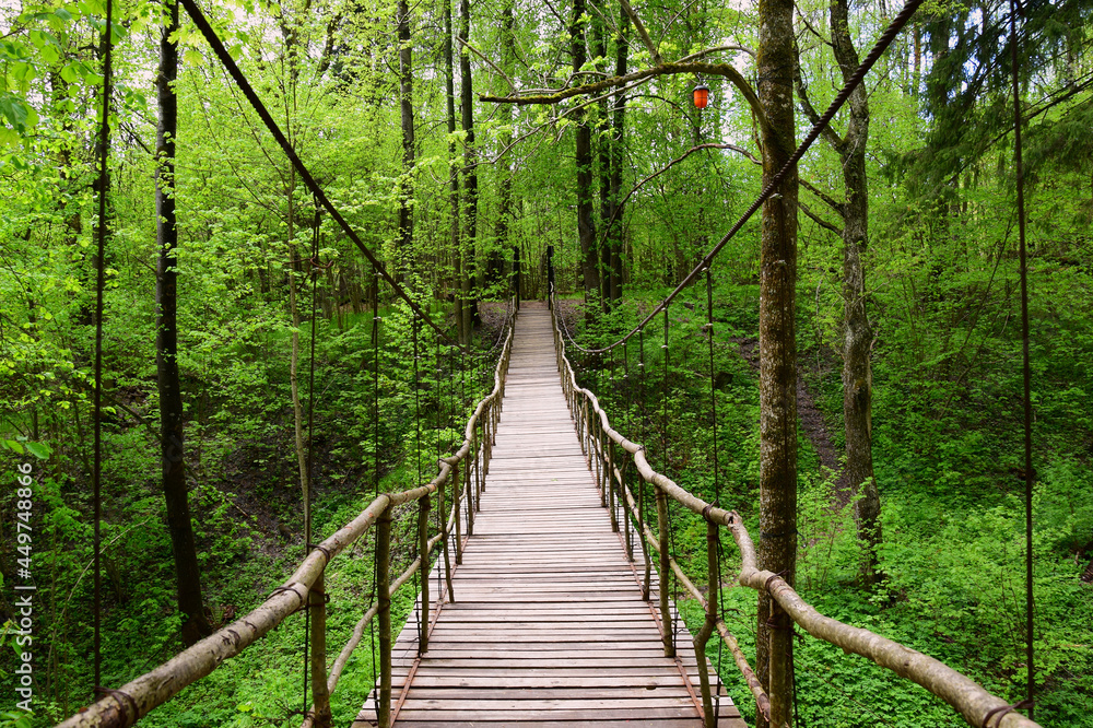 Obraz premium Wooden suspension bridge among the trees in the spring forest