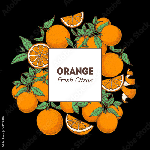Orange hand drawn package design. Vector illustration. Orange fruit design, brochure illustration. Colorful design. Citrus orange frame illustration. Can used for packaging design.