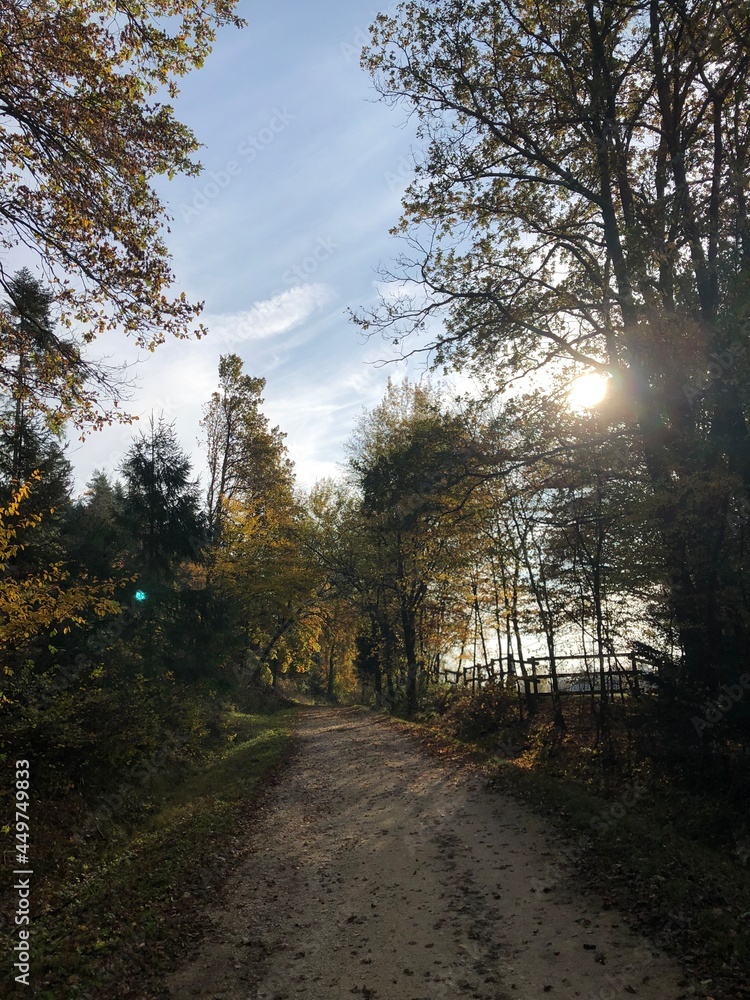 Sonnenschein im Herbst
