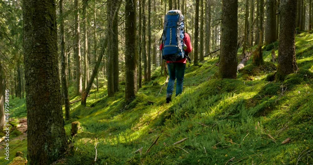 Tourist guy with backpack on hiking adventure trip in natural landscape Tourist guy with backpack on hiking adventure trip in natural landscape