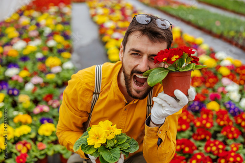 Smiling gardener crouching in greenhouse and making silly face with flowers.