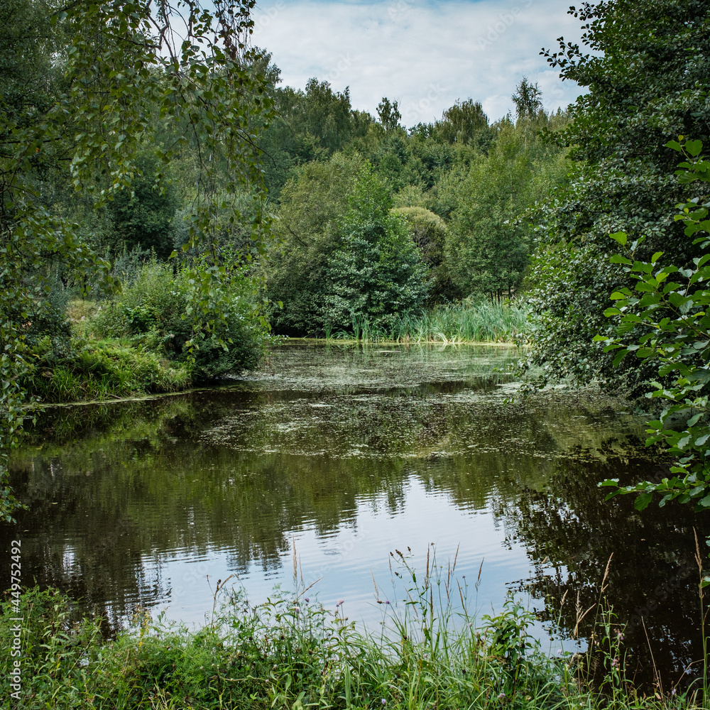 Russian summer landscape. Pond in the forest.