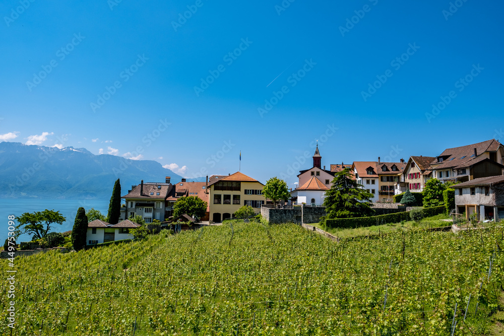 View over the vineyards on Rivaz - Switzerland